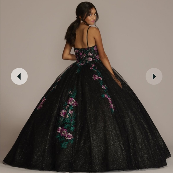 EUC 💗 15 Roses 💗Quincenera dress 🖤 Beautiful Princess Ball Gown, size 2 - Picture 3 of 14